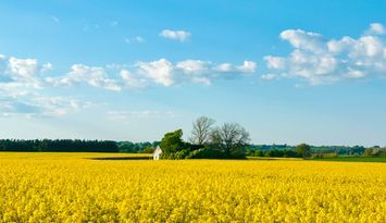Skånegård unikt läge utsikt över fälten