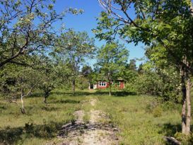 Lugnt naturskönt i Rute, nära Furillen och Fårö