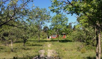 Lugnt naturskönt i Rute, nära Furillen och Fårö