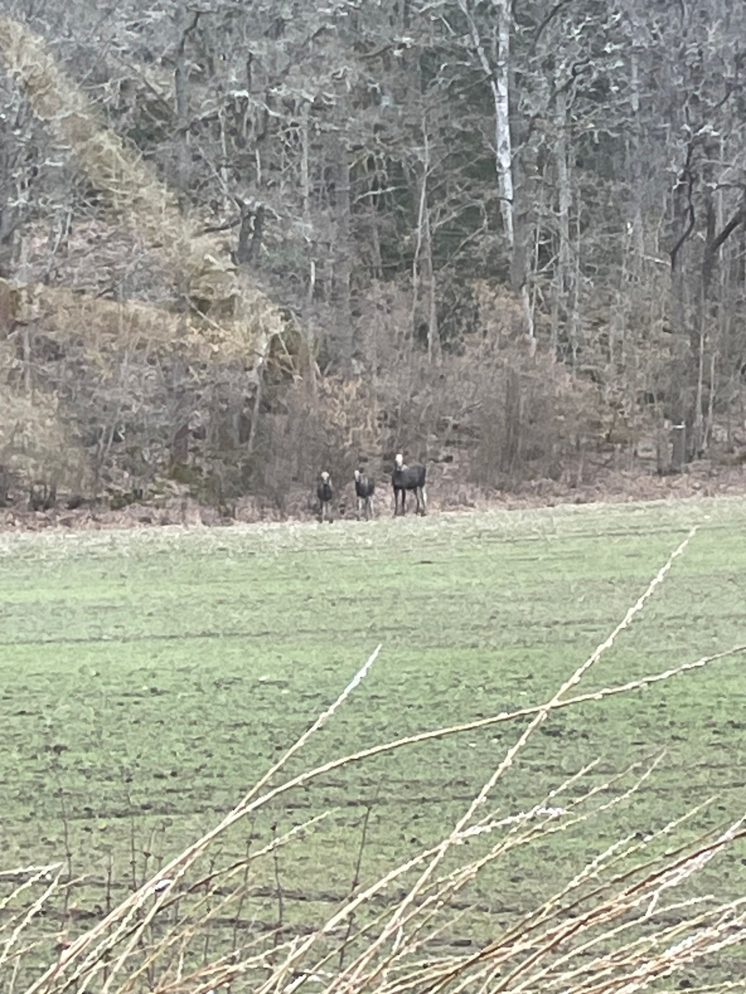 Enklare sommarboende i Östergötland – bild 6 av 21