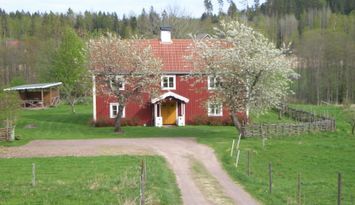 Hyra stuga Gränna, året runt