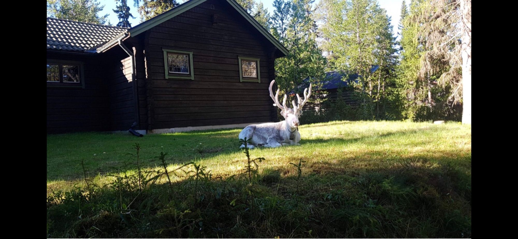Mysig fjällstuga i Grövelsjön (nu med bastu!) – bild 13 av 24