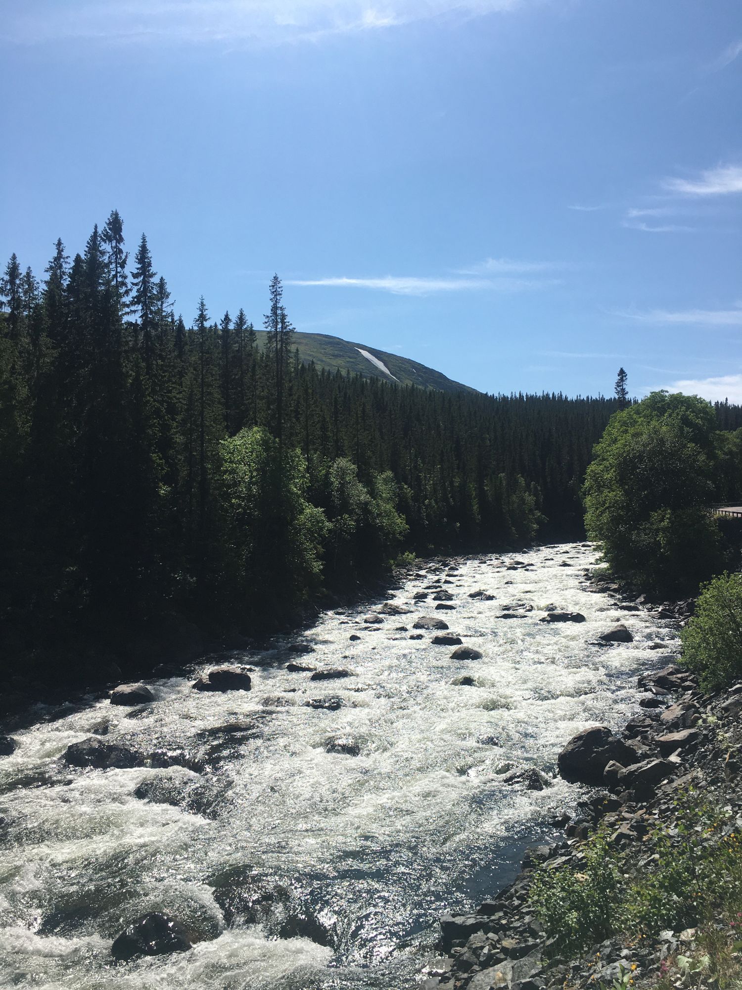 Bydalen – bild 13 av 17