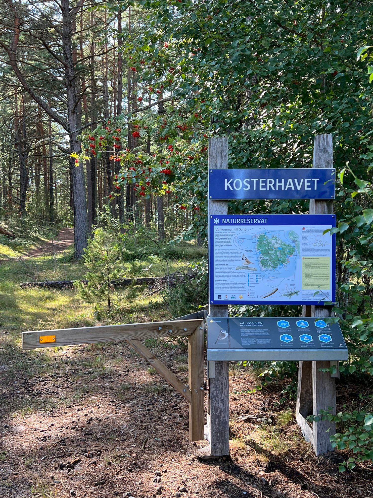 Saltö med natur och bad i Kosterhavet – bild 11 av 16