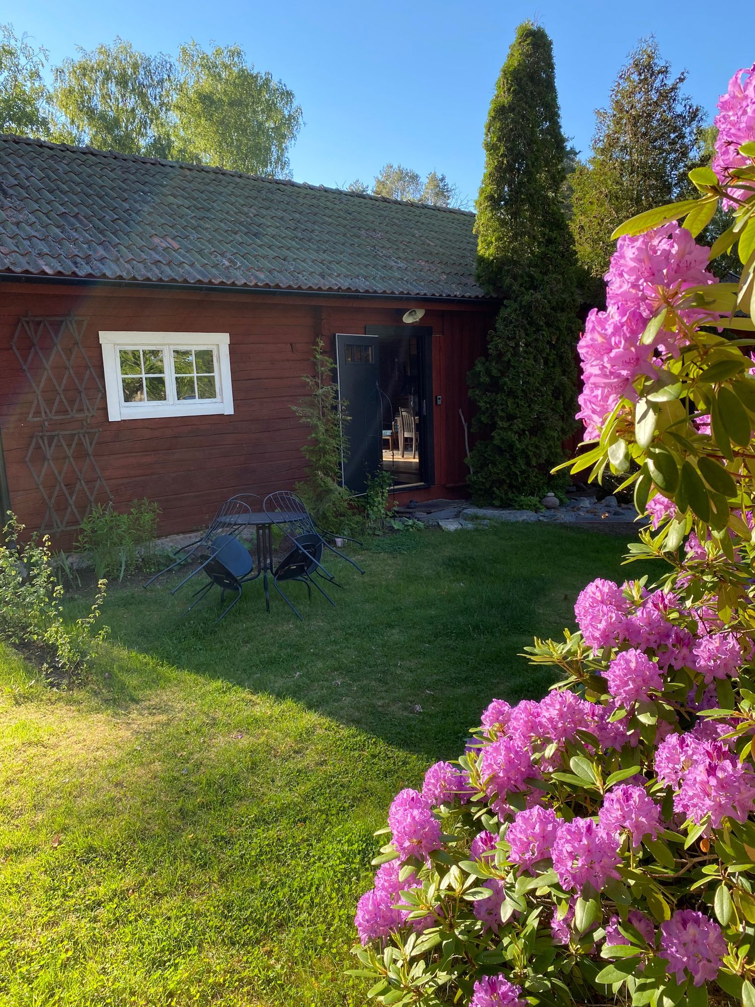 Sjöläge i hjärtat av Färnebofjärdens nationalpark – bild 13 av 24