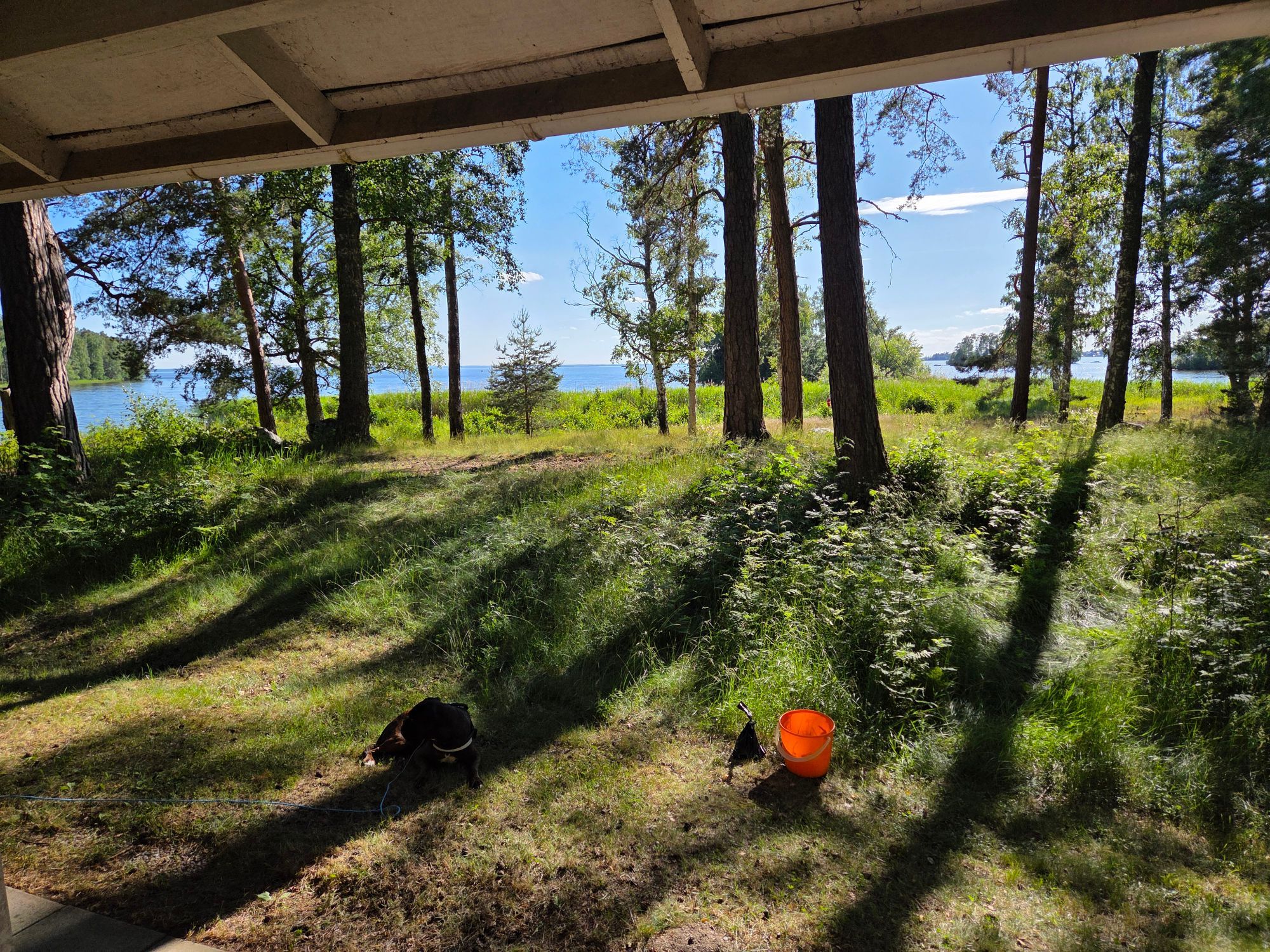Njut av kvällssolen vid Hjälmarens strand!