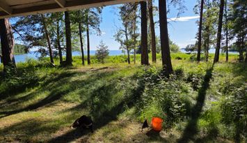 Njut av kvällssolen vid Hjälmarens strand!