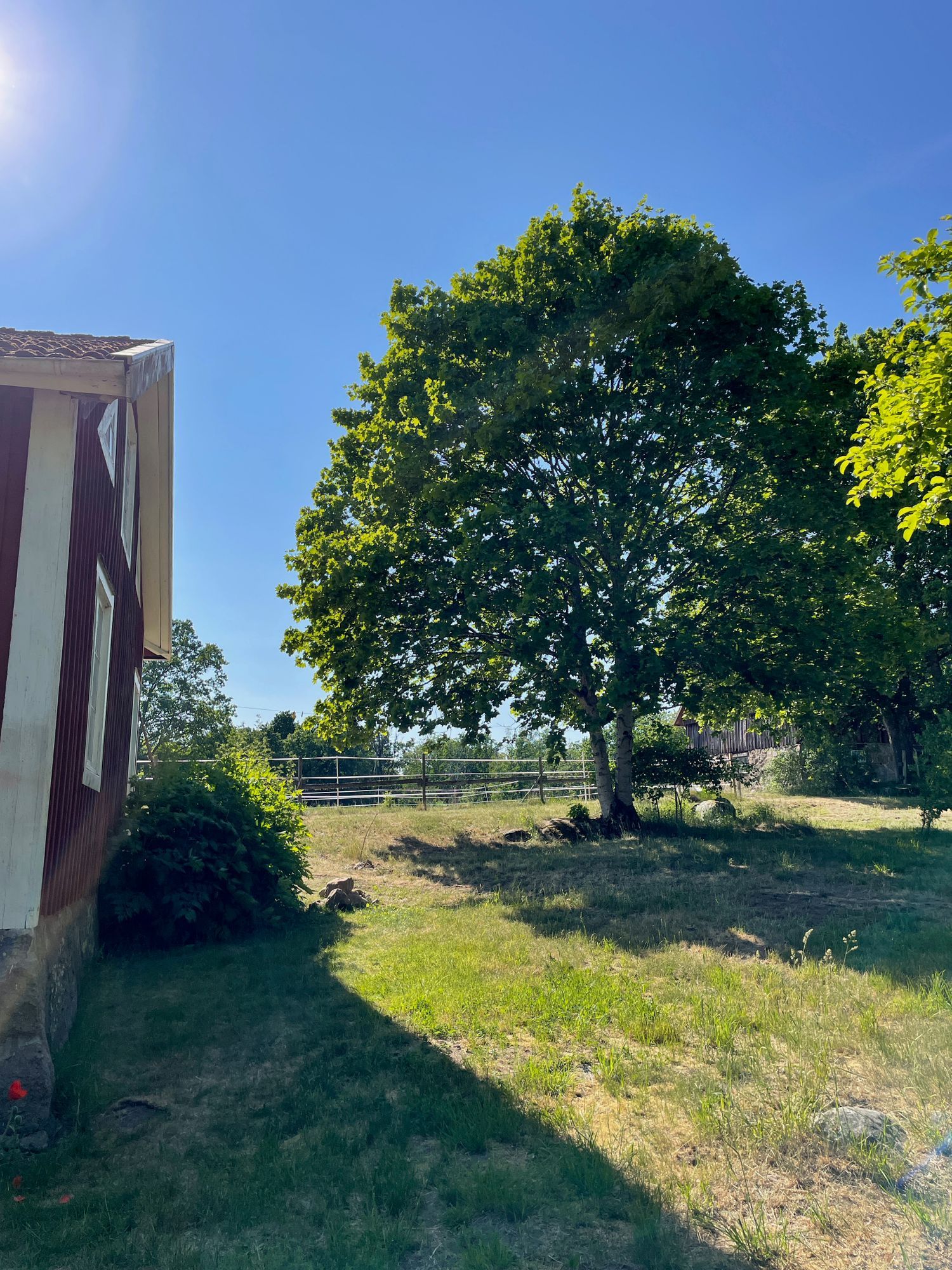 Stuga med vacker natur, öppet landskap, skog, sjö. – bild 23 av 24