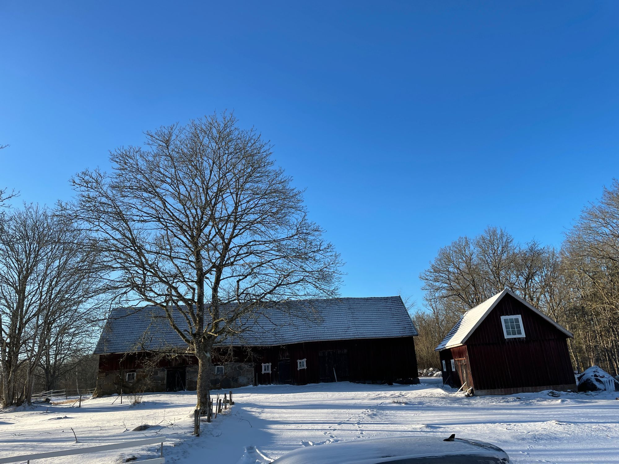 Stuga med vacker natur, öppet landskap, skog, sjö. – bild 2 av 24