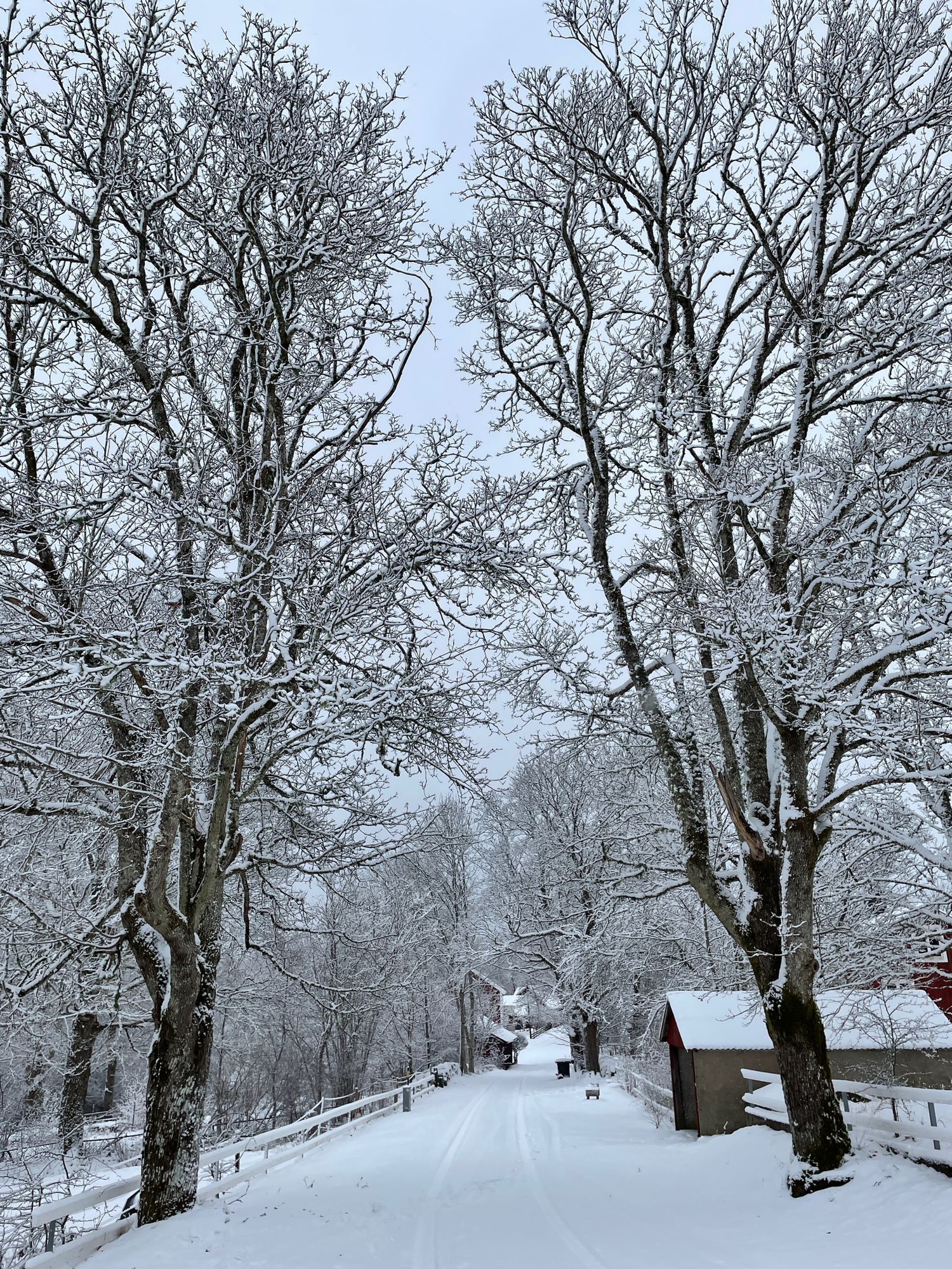 Stuga med vacker natur, öppet landskap, skog, sjö. – bild 3 av 24