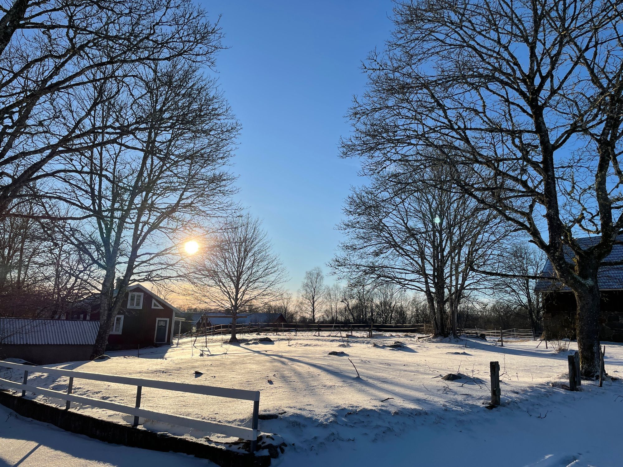 Stuga med vacker natur, öppet landskap, skog, sjö. – bild 4 av 24
