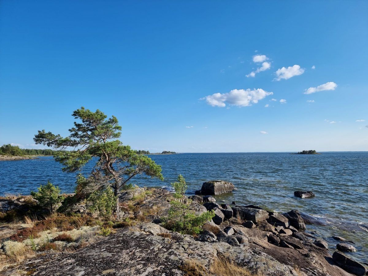 Fritidshus vid Vänern – bild 13 av 15