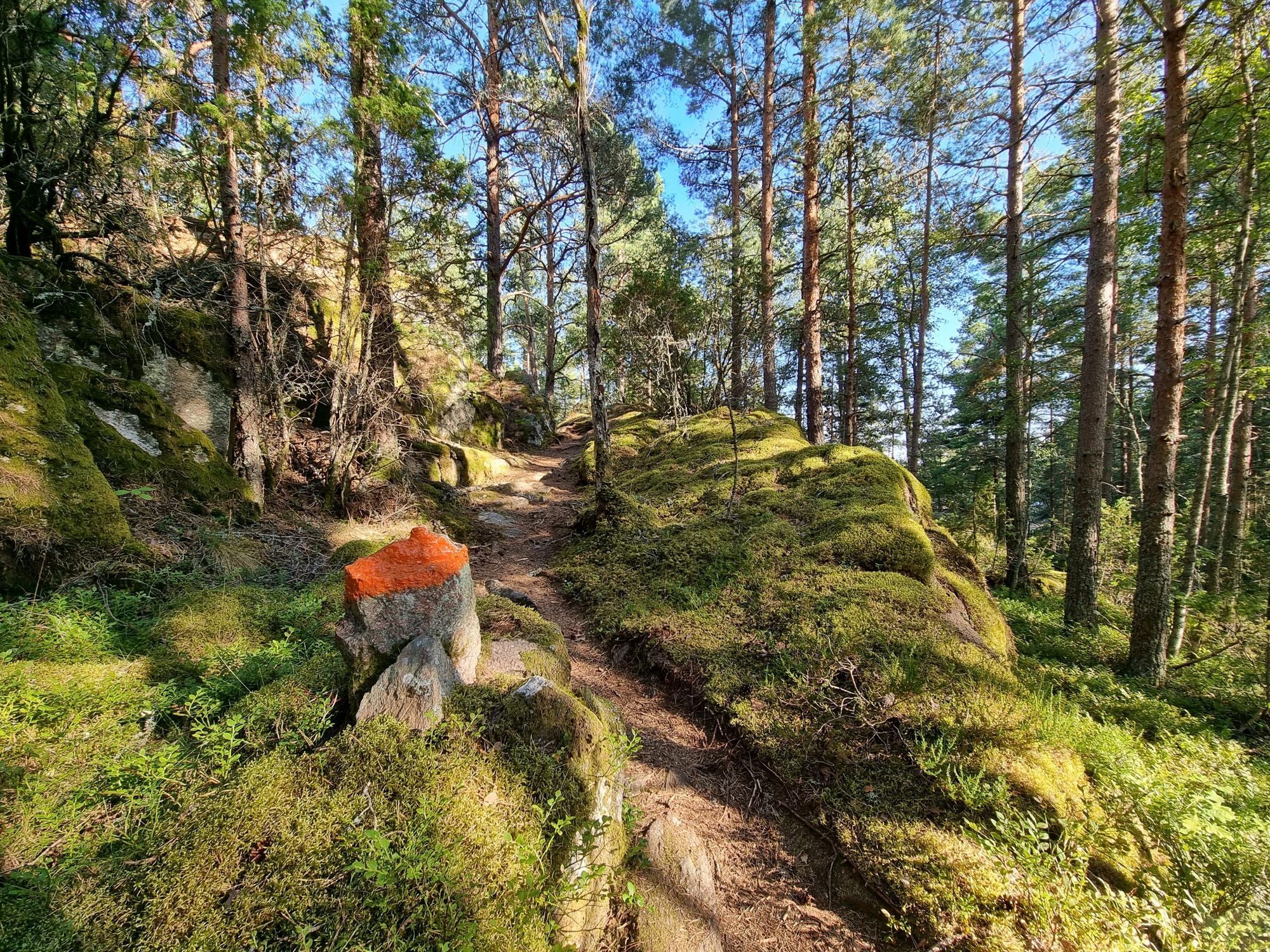 Fritidshus vid Vänern – bild 14 av 15