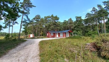 Röd trästuga Fria tider i augusti