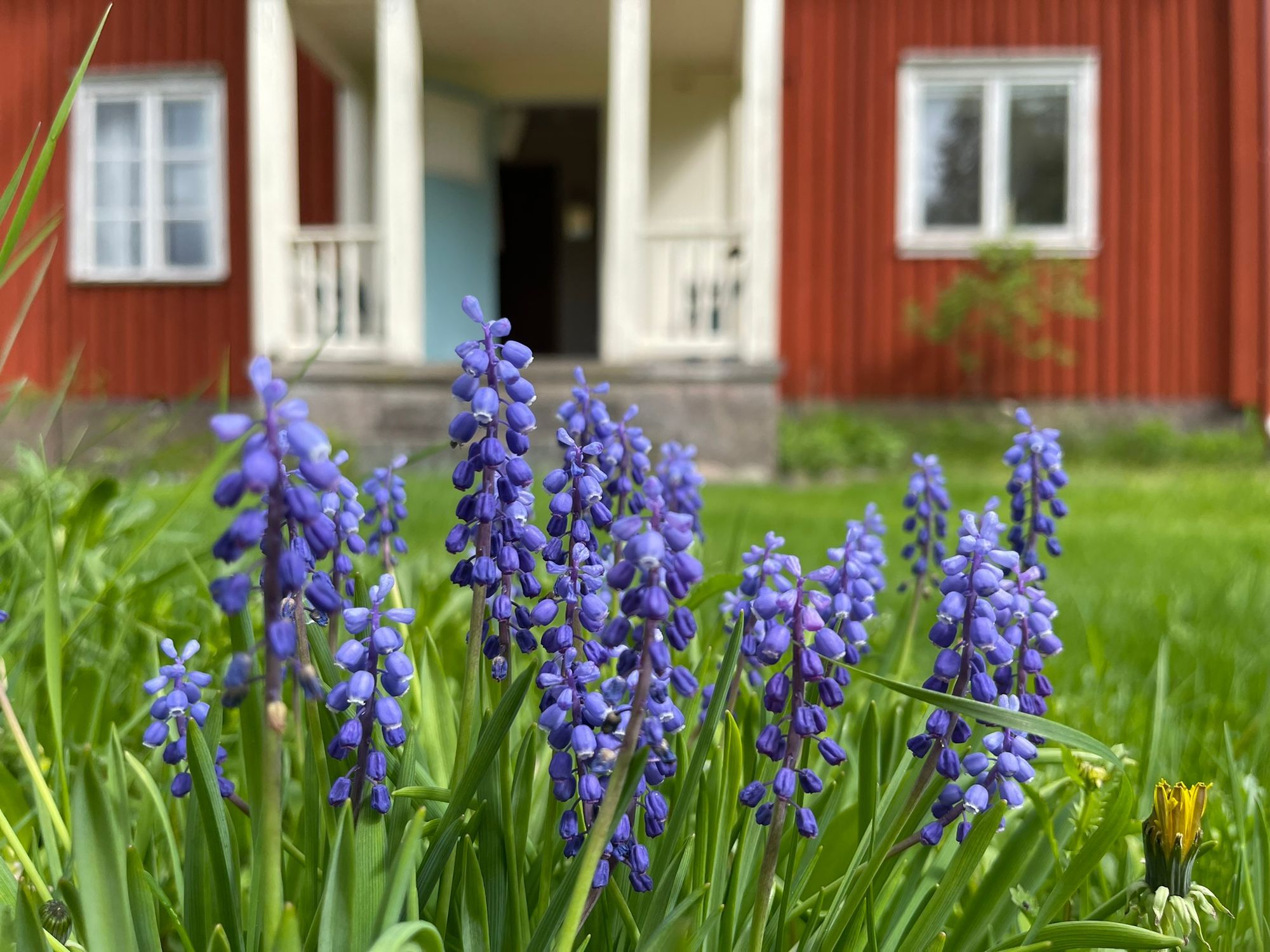 Charmigt och avskilt torp – bild 14 av 14
