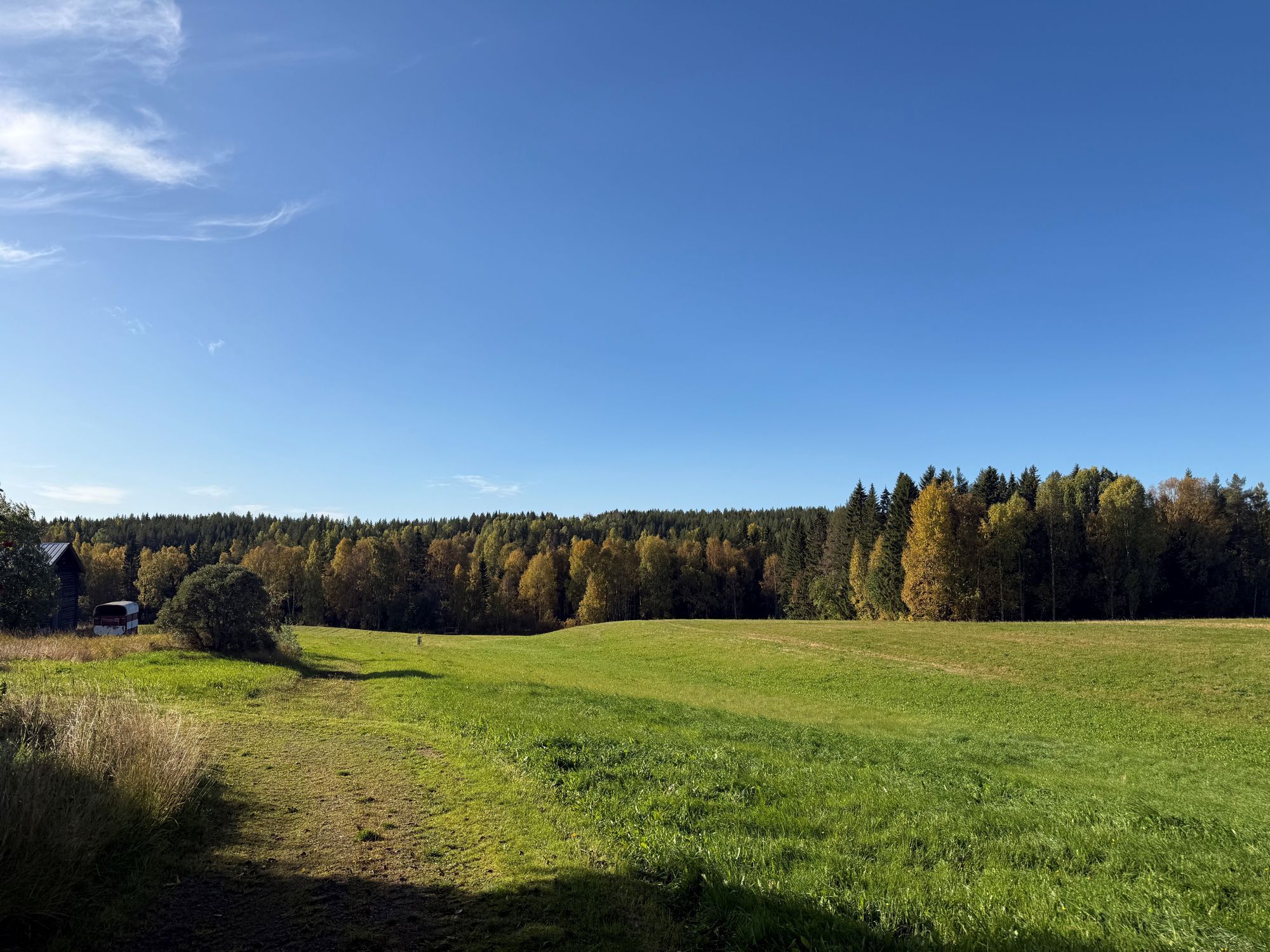 Lantligt hus nära Skellefteå – natur, lugn – bild 10 av 13