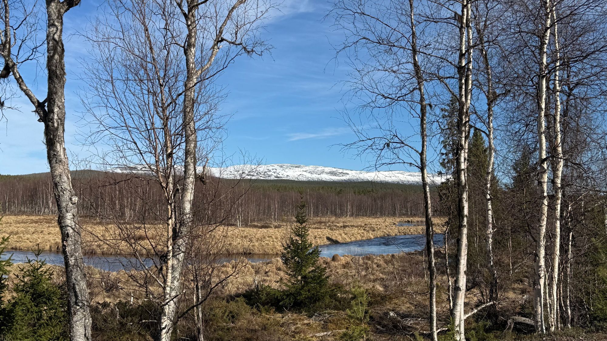 Lyxig Mountain Lodge i Idre – bild 22 av 22