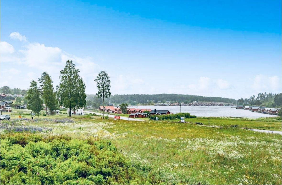 Hundvänligt familjeparadis i Norrfällsviken