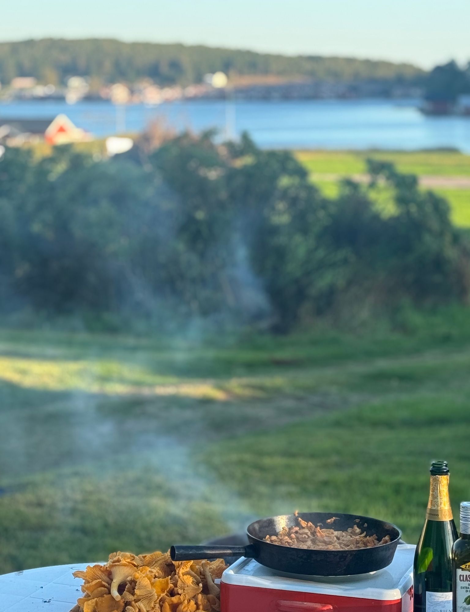 Hundvänligt familjeparadis i Norrfällsviken – bild 2 av 24