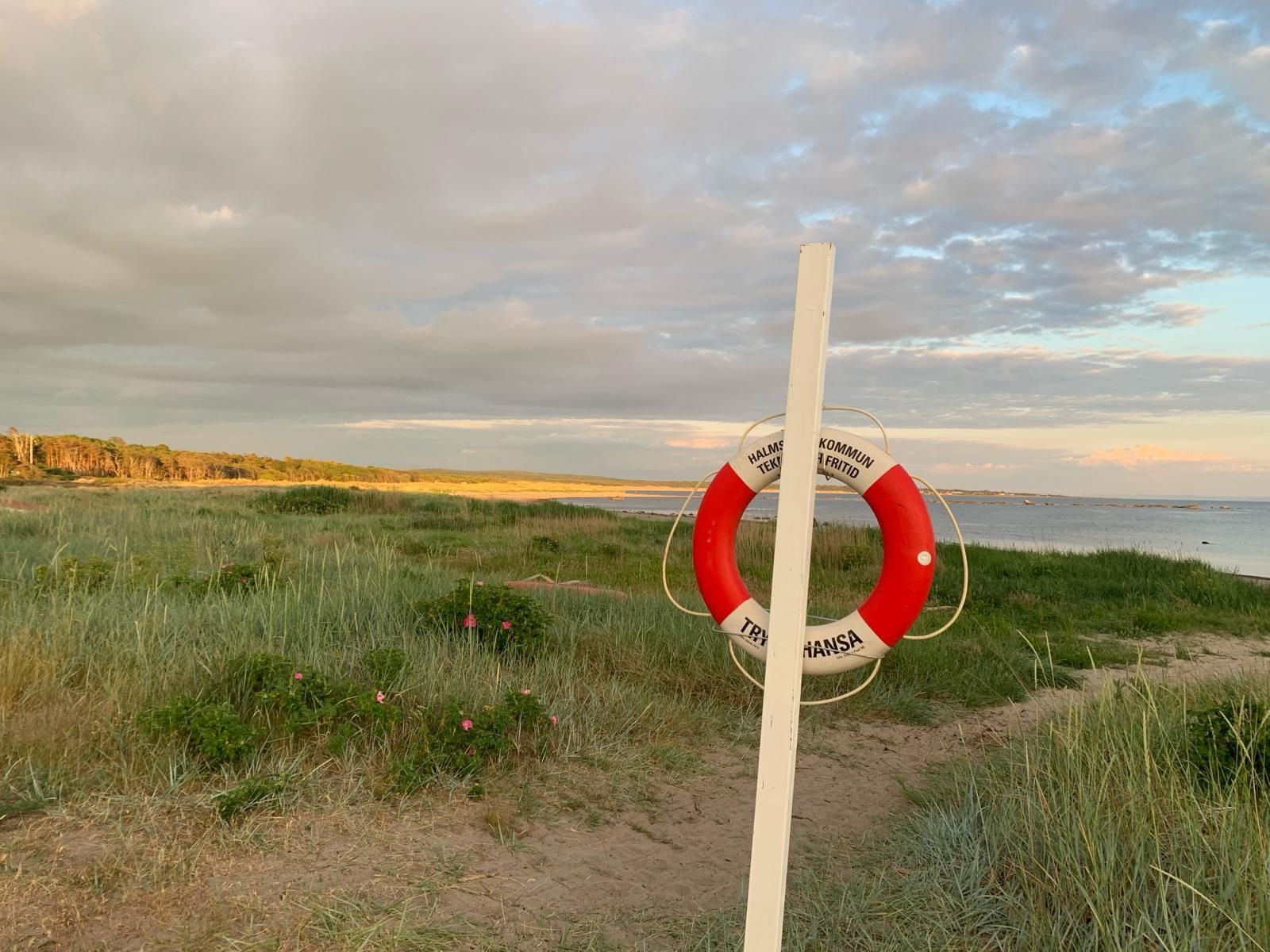 Haverdal 100 m till stranden – bild 19 av 22