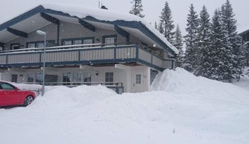 Åre Björnen Illern