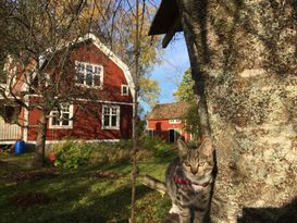 Charmig stuga med kakelugnar och stor trädgård