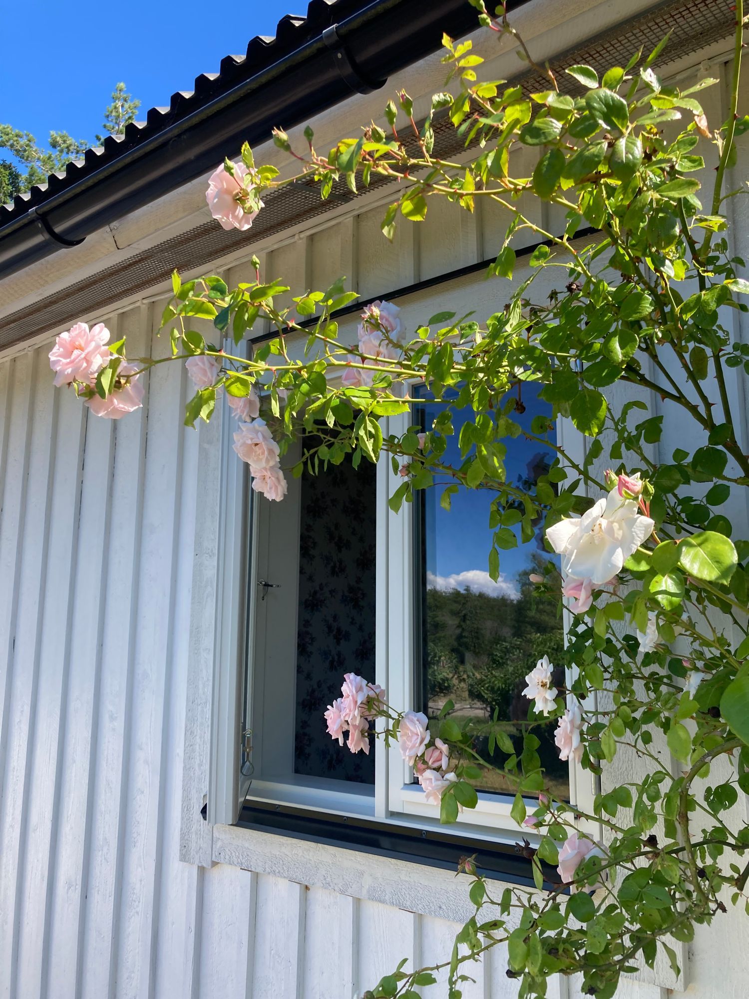 Nyrenoverad stuga med havsutsikt Kesnäs Udde – bild 7 av 24