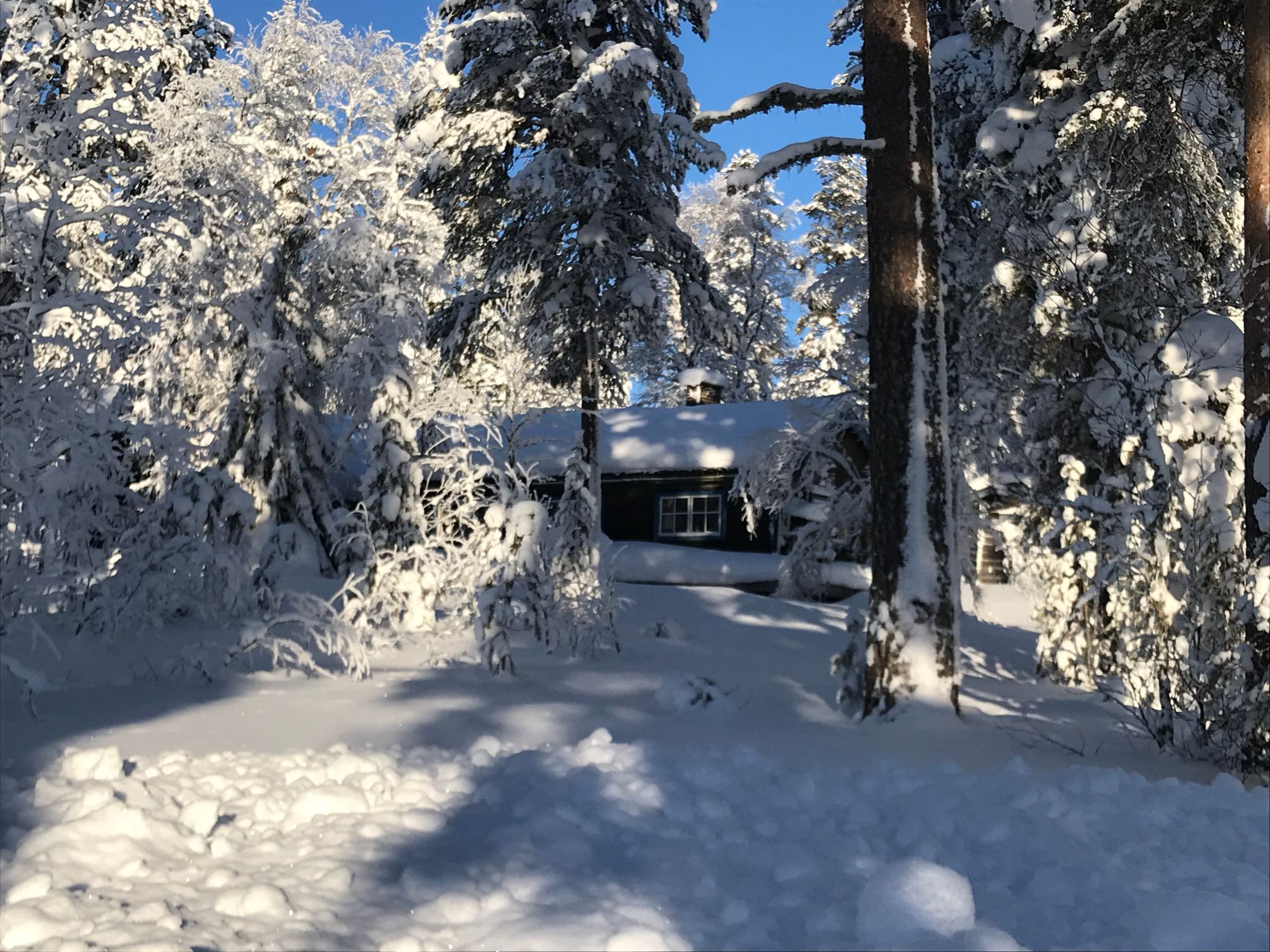 Stuga i Sälen med 5 bäddar #28783 – bild 12 av 19