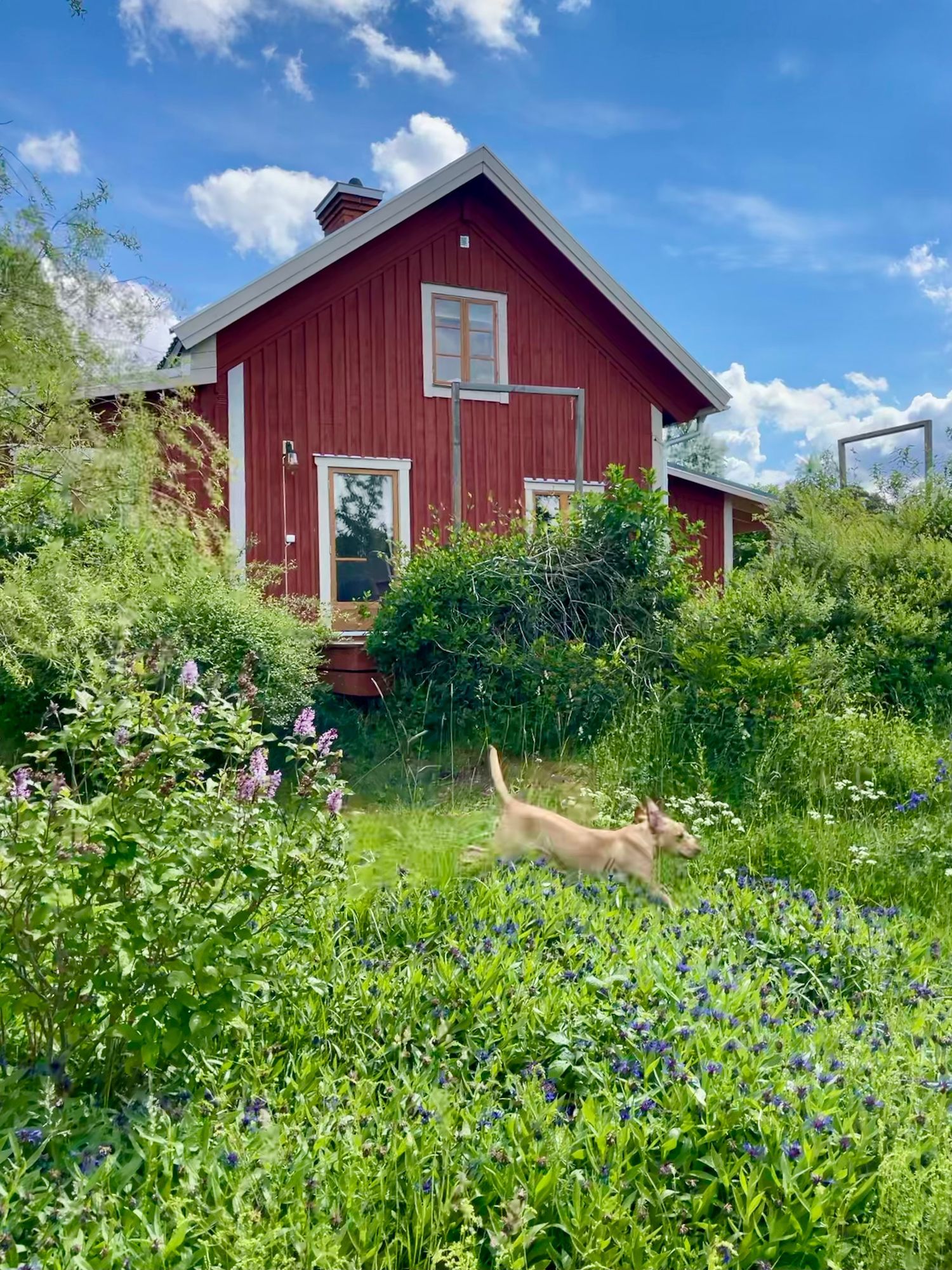 Charmigt torp från 1890-tal i Uppland – bild 6 av 24