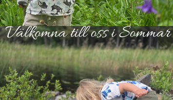 En idyllisk tillflykts plats vid sjön