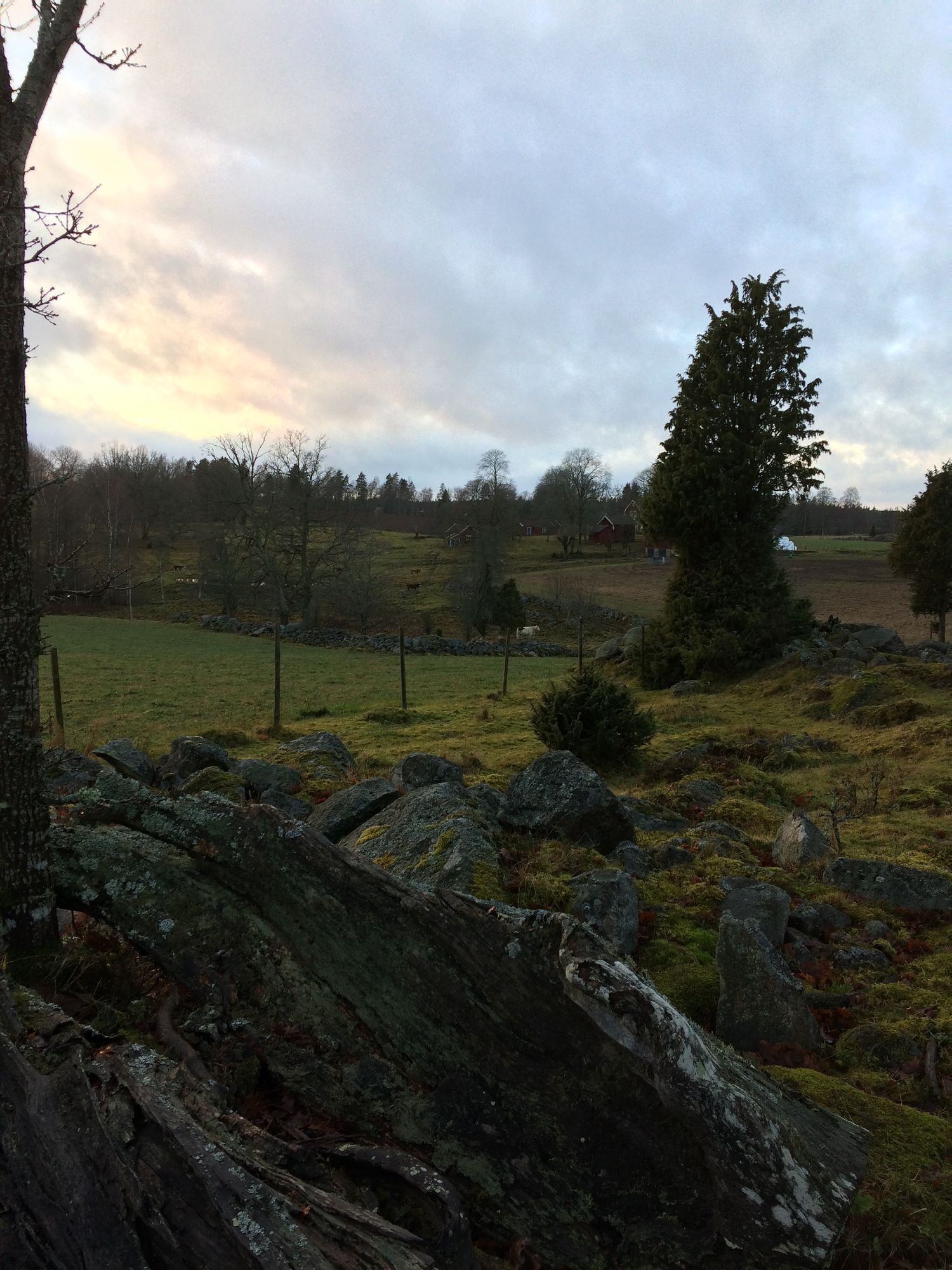 Stuga på landet, (Vimmerby/Eksjö/Mariannelund) – bild 22 av 24