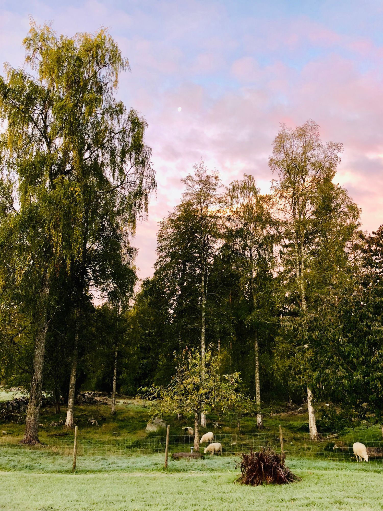 Säby Perstorp – bild 6 av 24