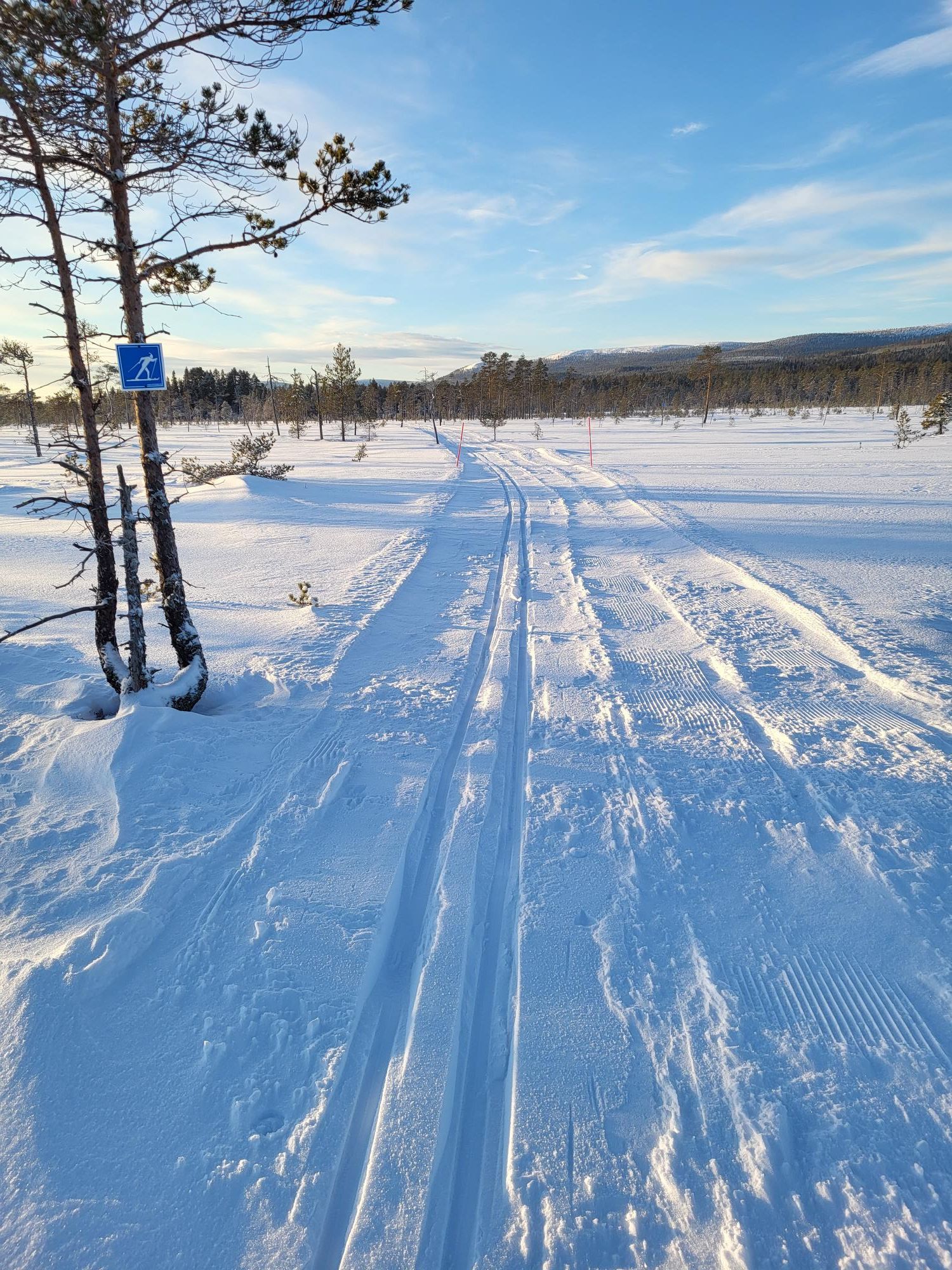 Nybyggd fjällstuga i Sälenområdet - Gräsheden – bild 22 av 24