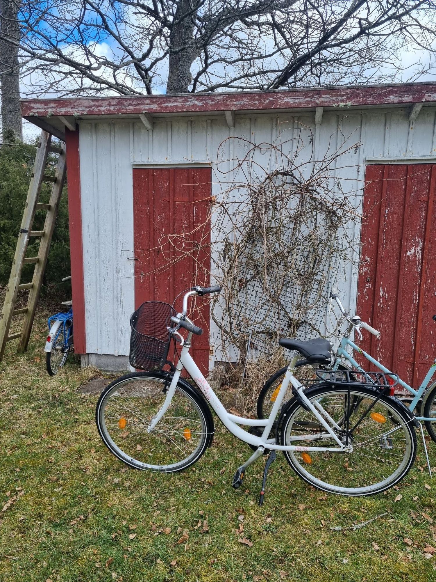 Soligt med stor tomt – bild 23 av 24