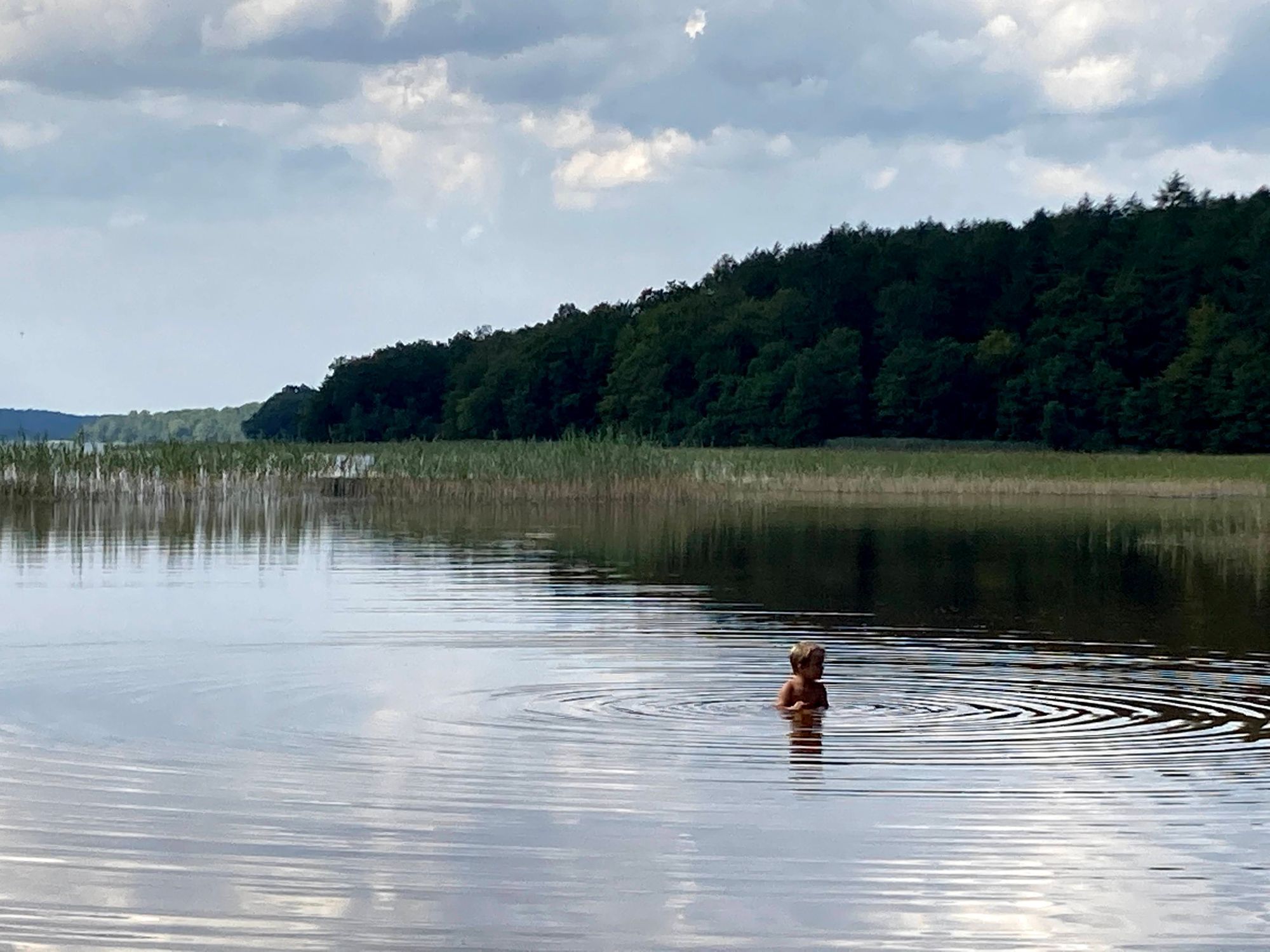 Stuga i Skåne med tillgång till pool & tennisbana – bild 8 av 19