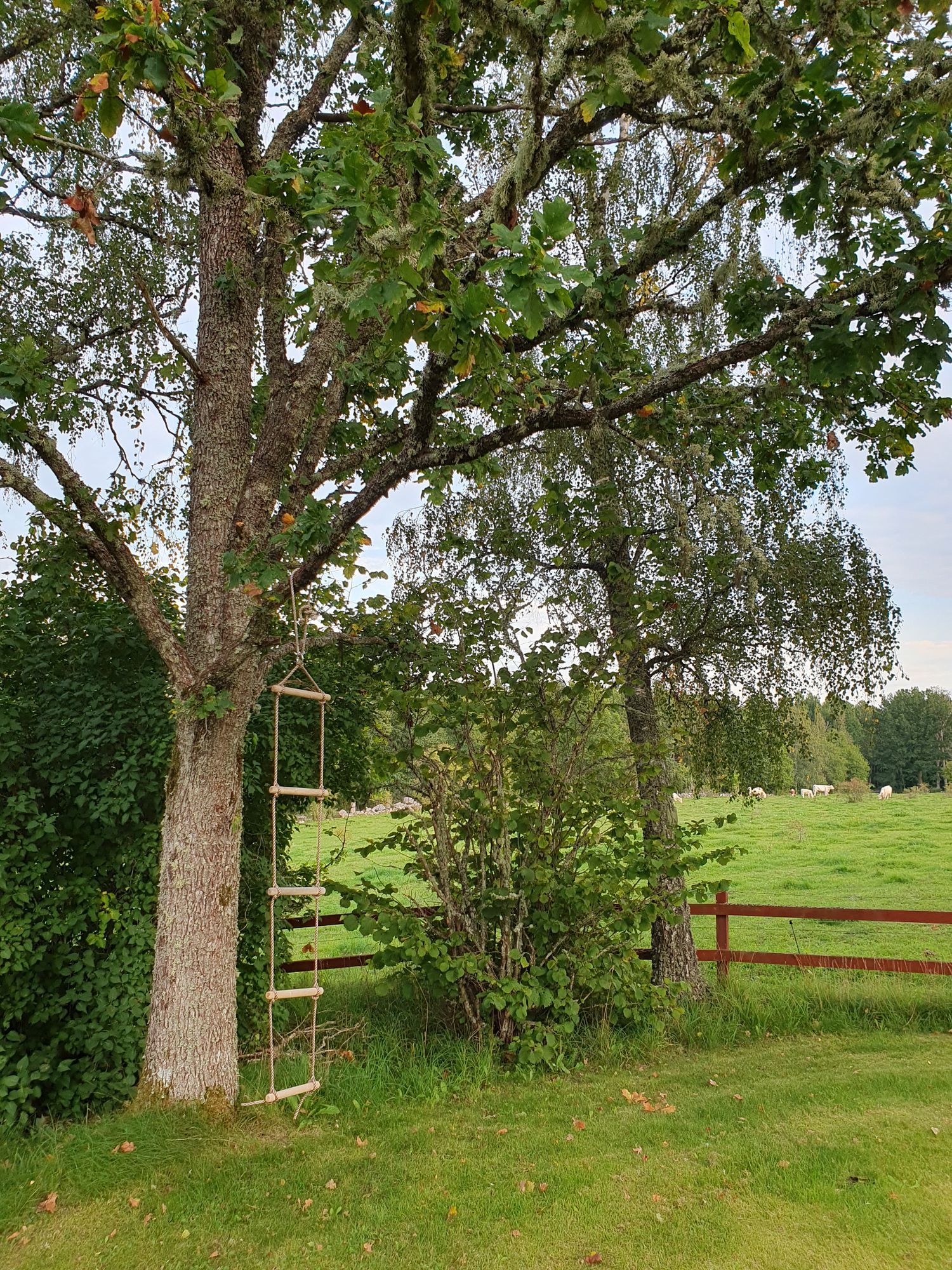 Stuga på landet vid fin natur – bild 23 av 24
