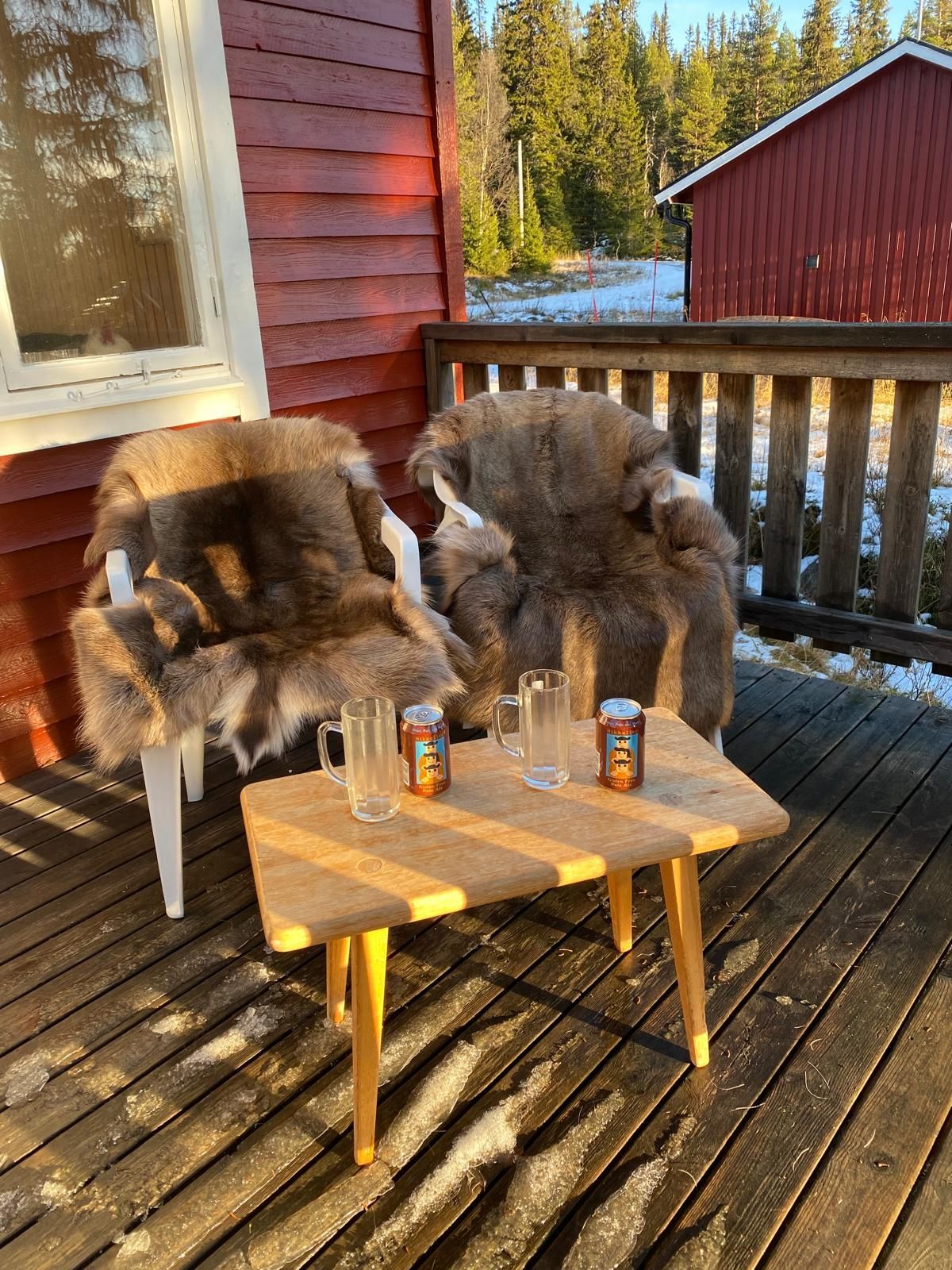 Åk Skidor, Vandra, Koppla Av: 50m till skidspår – bild 24 av 24