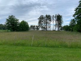 Fantastic summerhouse at Fårö for rent