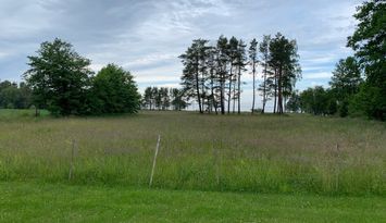Sommarhus med kanonläge på Fårö uthyres!