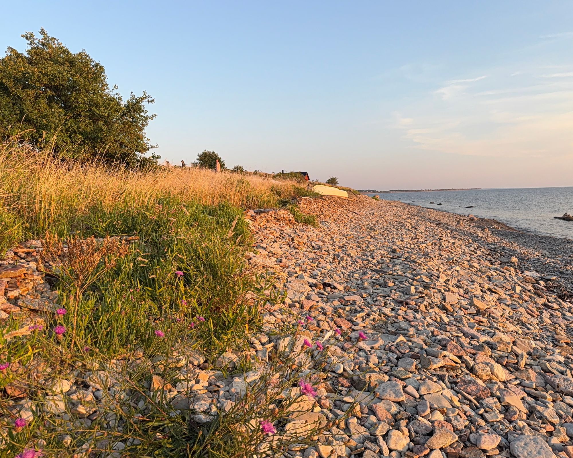 Djupvik - Öland. Stor tomt nära hav. Hundvänligt – bild 14 av 17