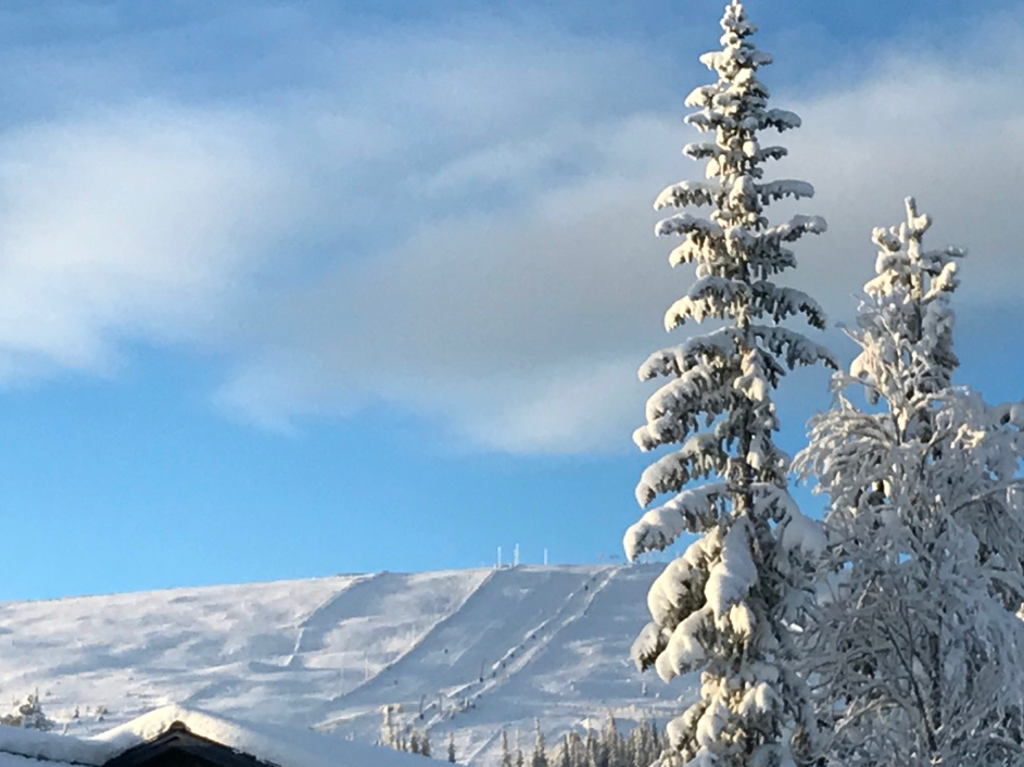 VÄLKOMMEN TILL FJÄTERVÅLEN – bild 3 av 10