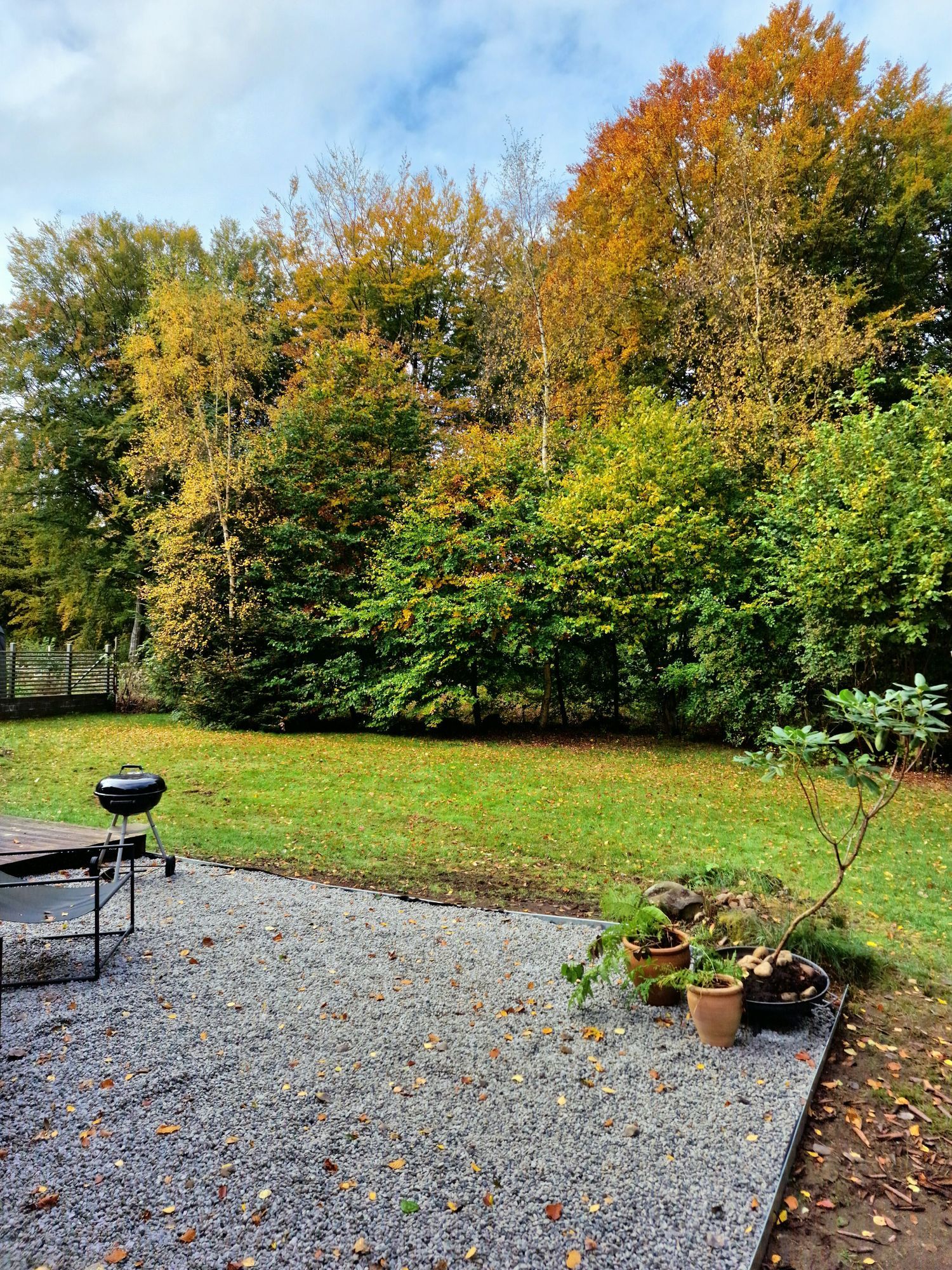 Skogsnära stuga i Ludvigsborg – bild 11 av 23