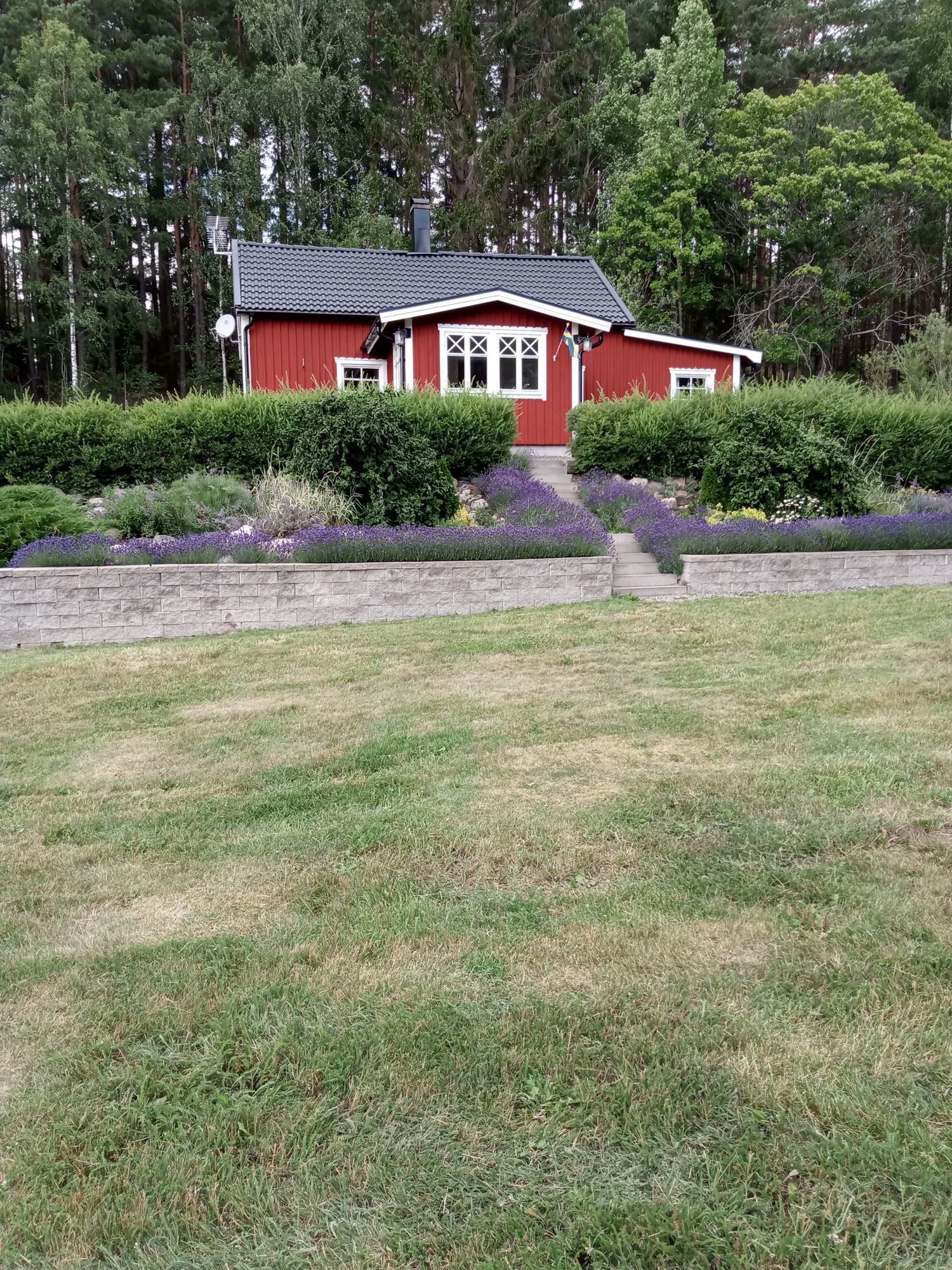Mysigt litet hus på vikbolandet