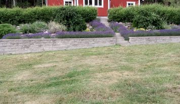 Mysigt litet hus på vikbolandet