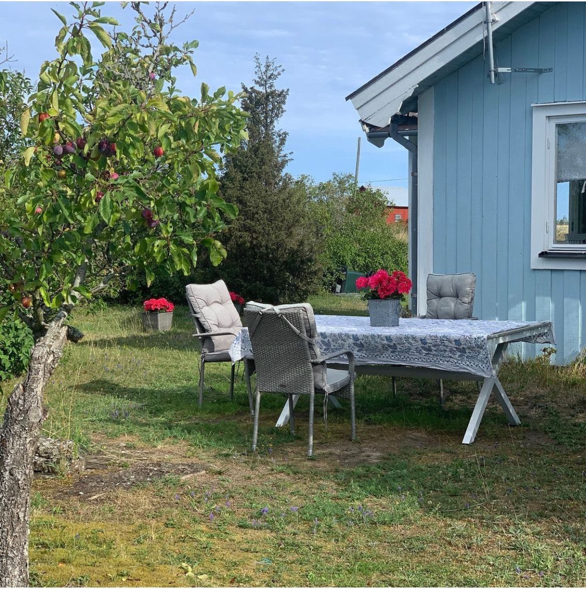 Fräsch naturnära stuga Öland , nära Äleklinta – bild 11 av 20