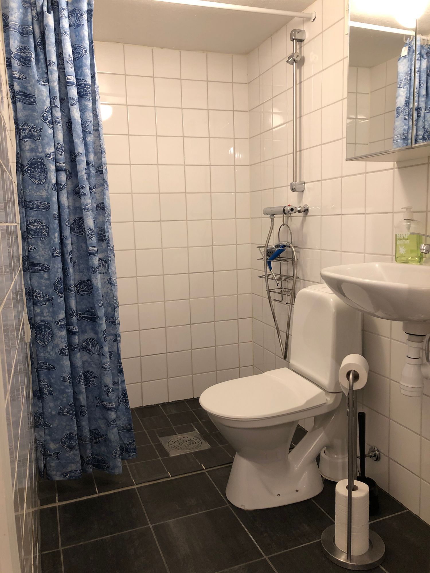Mysigt boende nära liften i Tegefjäll – bild 3 av 6