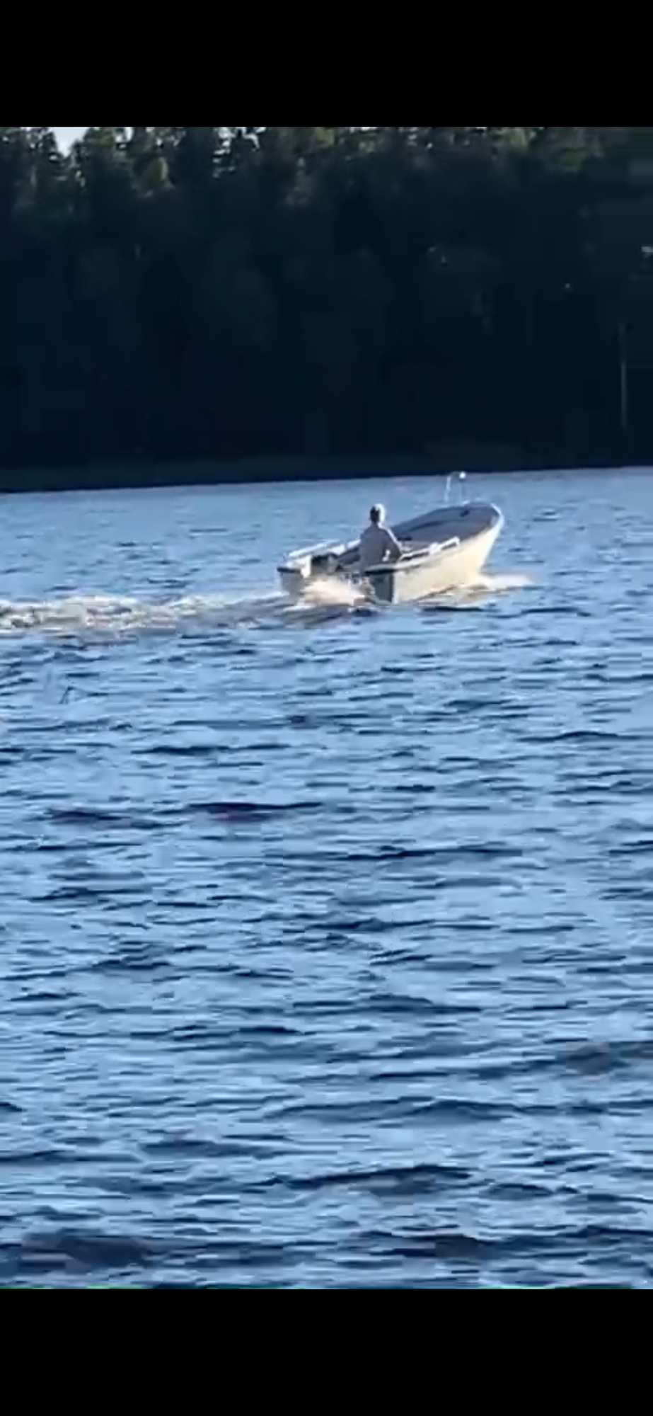 stuga vid sjö på landet – bild 8 av 8
