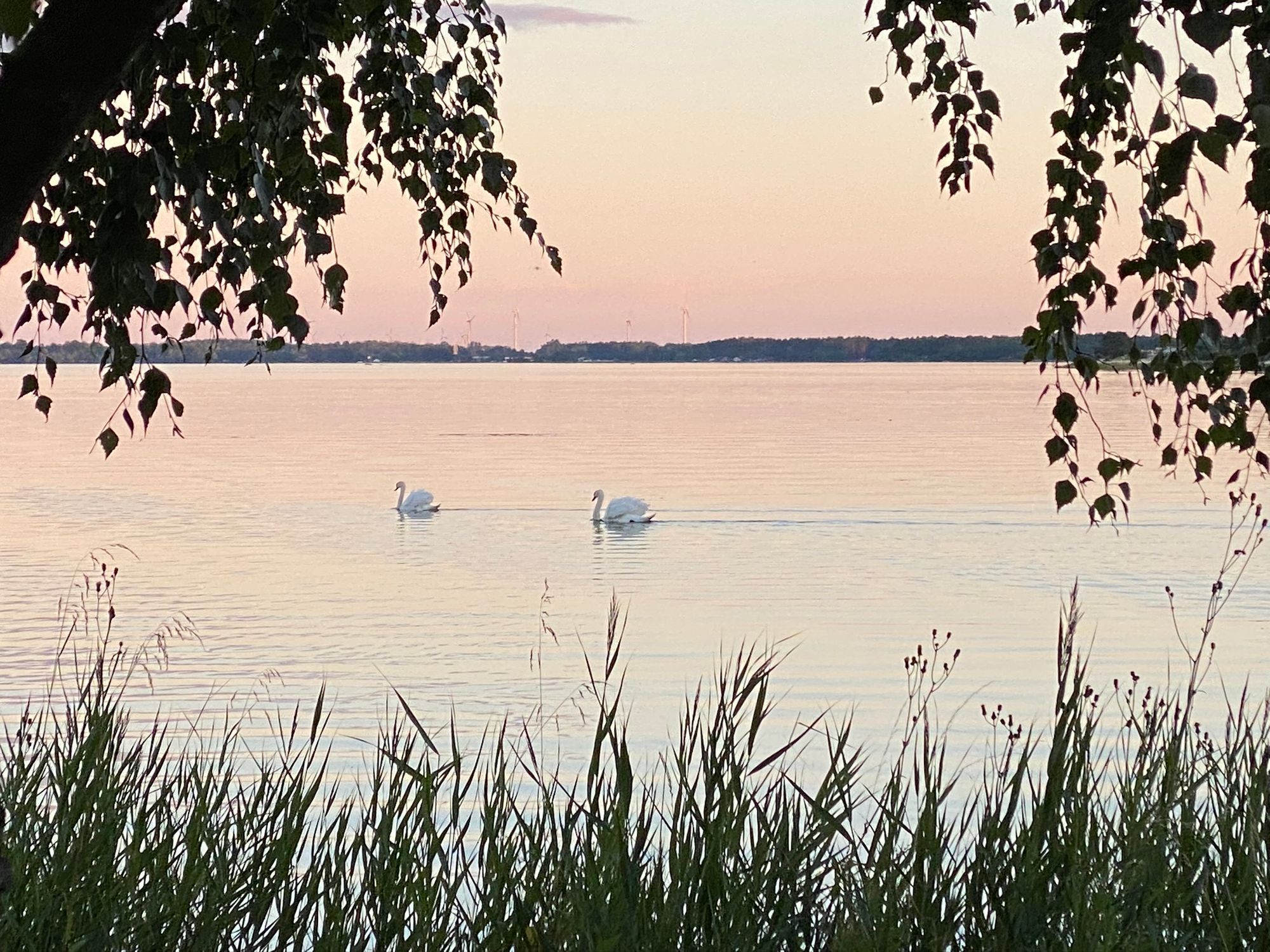 Stuga vid havet – bild 14 av 14