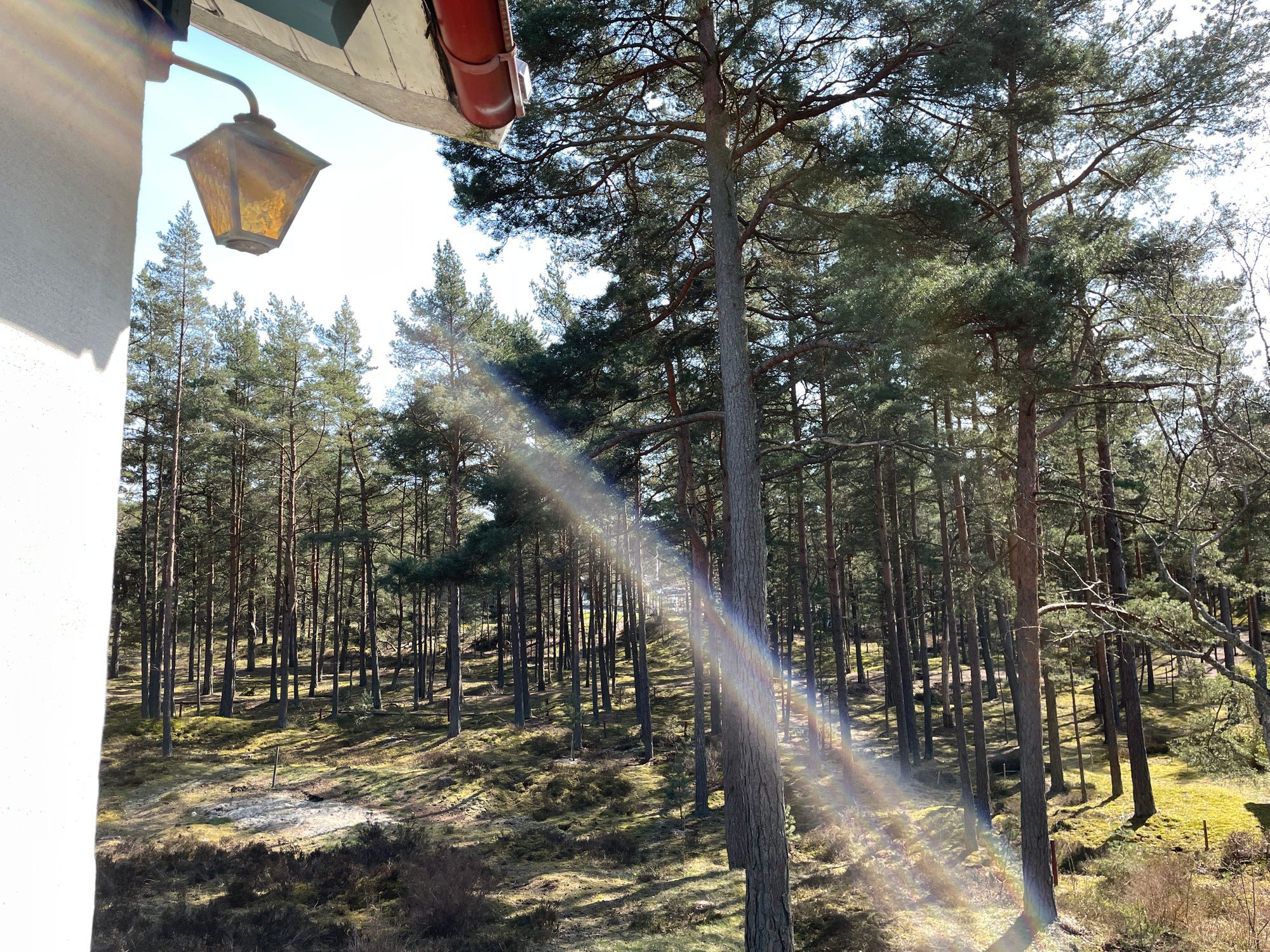 Stuga på Äspet med närhet till sandstrand – bild 3 av 19
