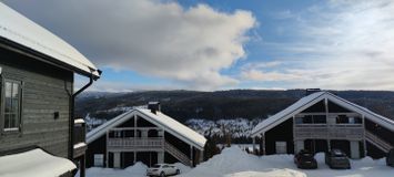 Ski in/ski out lägenhet, söderläge Åre, tegefjäll